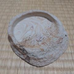 爬虫類用品 餌入れ シェルター等の画像