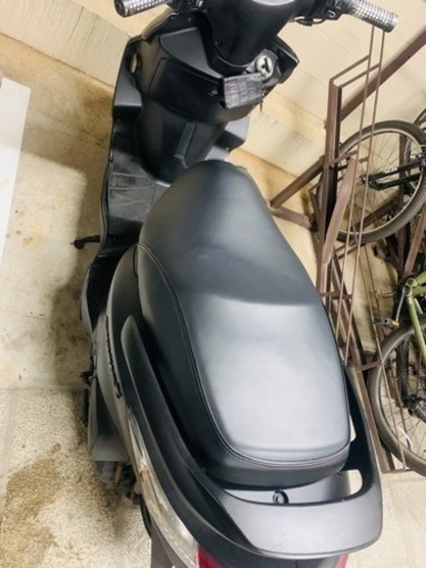 シグナス125実働自賠責付き乗って帰れます シグナス125実働自賠責付き乗って帰れます 【公式通販】