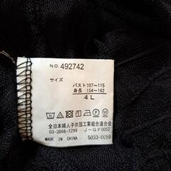 シースルー4Lの画像