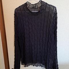 シースルー4L