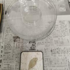 【お取引決定】食器セット（バラ売り不可）の画像
