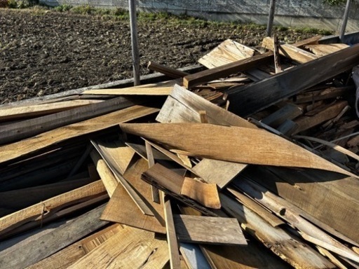 100年もの材木取り放題