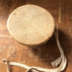 こんにちは‼️の画像