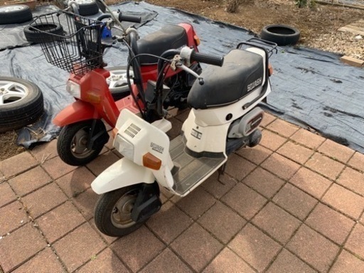 ホンダスカッシュ当時物