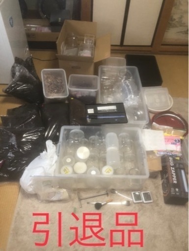 カブクワ飼育　引退品　　イロイロ