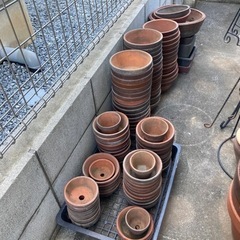 素焼き　浅型　大小植木鉢　150鉢程