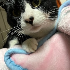 大切に育ててもらえませんか？