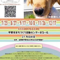 11月26日 保護犬　保護猫　譲渡会