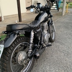 ボルティー250の画像