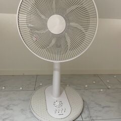 Fan koizumi