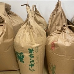 ヒノヒカリ 30kg 新米