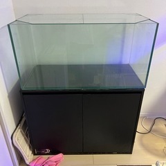 GEX ガラス水槽 グラステリア TS900 90cm規格水槽 水槽台セット