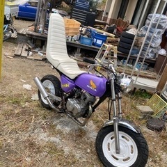 エイプ50