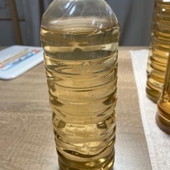 自家培養ゾウリムシ(インフゾリヤ)