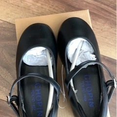 ⭐️新品⭐️ Chopinシューズの画像