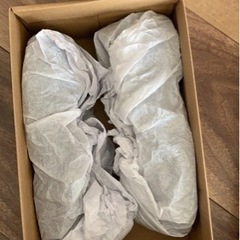 ⭐️新品⭐️ Chopinシューズの画像