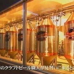 ブルワリー一緒にやらない⁉️クラフトビール大好き仲間募集‼️ - その他