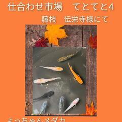 11/12(日)10:00〜15:00 仕合わせ市場　てとてと4...