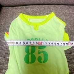 新品未使用　犬　服　Mサイズ　の画像