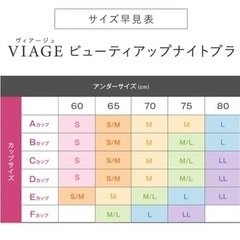 VIAGE ナイトブラの画像