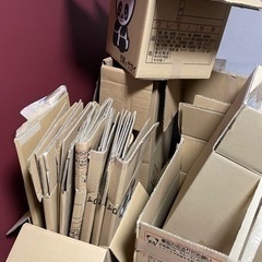 ダンボール 写真以外にもまだまだありますの画像