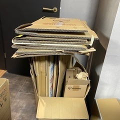 ダンボール 写真以外にもまだまだありますの画像