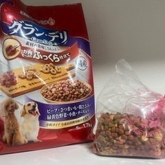ドッグフード☆グランデリ☆1.7kgの画像