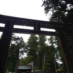 楽しめるメンバー募集🫡 - メンバー募集