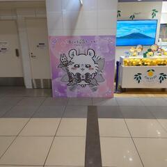 楽しめるメンバー募集🫡 - 福島市