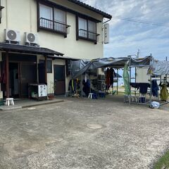 ダイビングスタッフ募集！！の画像