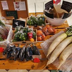 無人販売します！自家製無農薬野菜120円～の画像