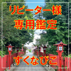 リピーター様専用☆すくなびこ☆占い鑑定♧本当に困っている方◇悩み...