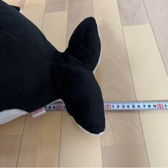 BIGくじらぬいぐるみ　50㎝の画像