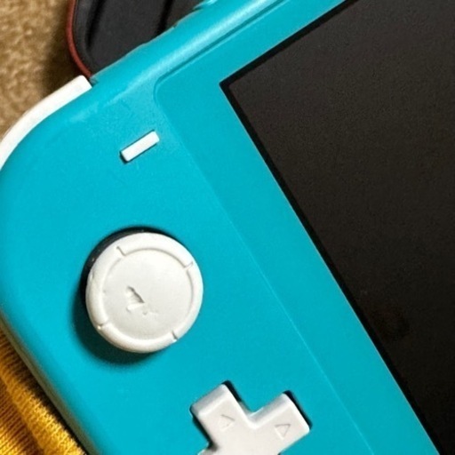 ◎ Nintendo Switch lite ( ターコイズ )