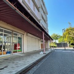 多摩市の体操教室べアスポーツスクールが施設無料開放！