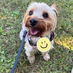 犬友になりませんか？？