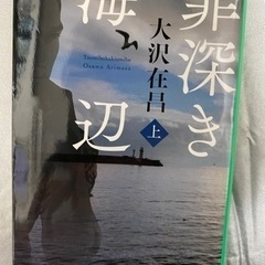 本　罪深き海辺