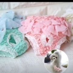 ペット用サニタリー パンツの画像