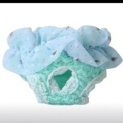 ペット用サニタリー パンツの画像