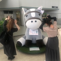 私を競馬場に連れてって