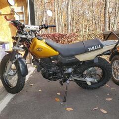 TW200E  2JL 　書類あり、　走行少ない