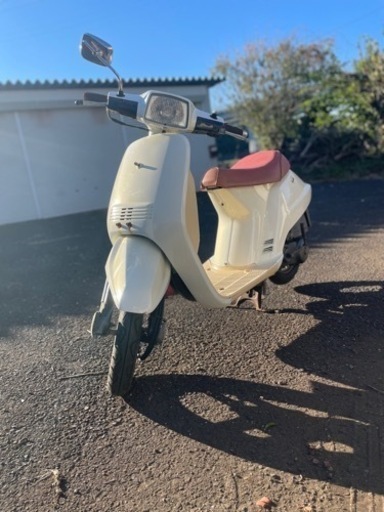 スーパータクト　早い方優先　格安