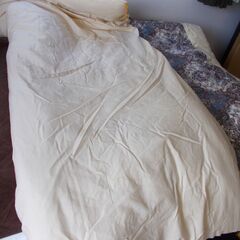 掛け布団（綿）の画像