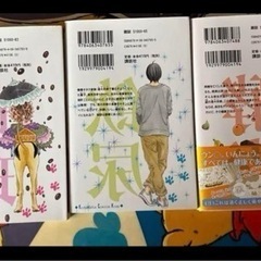 ケッコーケンコウ家族1から3巻の画像