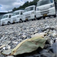 すぐにでも働けます！車が無くても大丈夫ですの画像