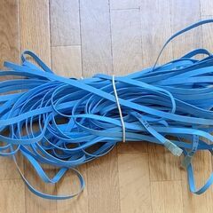ELECOM製 LANケーブル フラットタイプ 20m