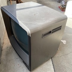 無料 11/19まで カラーテレビ
