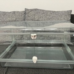 決まりました! ハムスター　ケージの画像