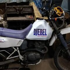 DJEBEL 124ccの画像