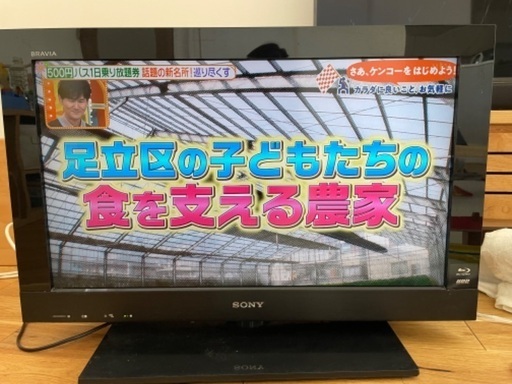 SONY BRAVIA テレビ